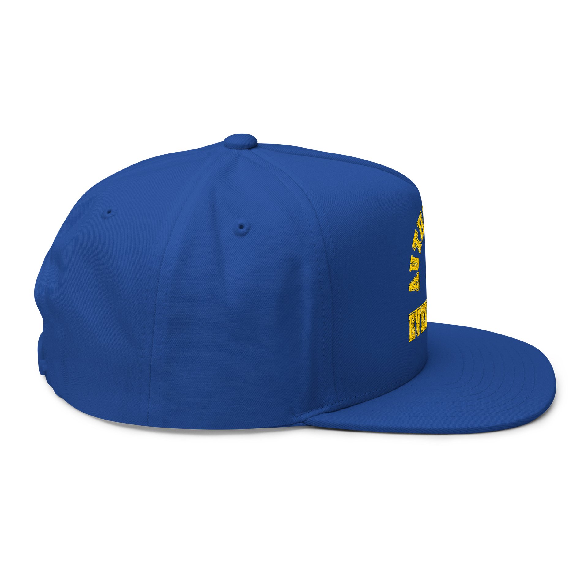 Classic collegiate hat product image (6)