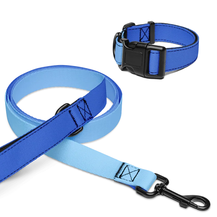 "Pet" Leash & Collar product image (1)