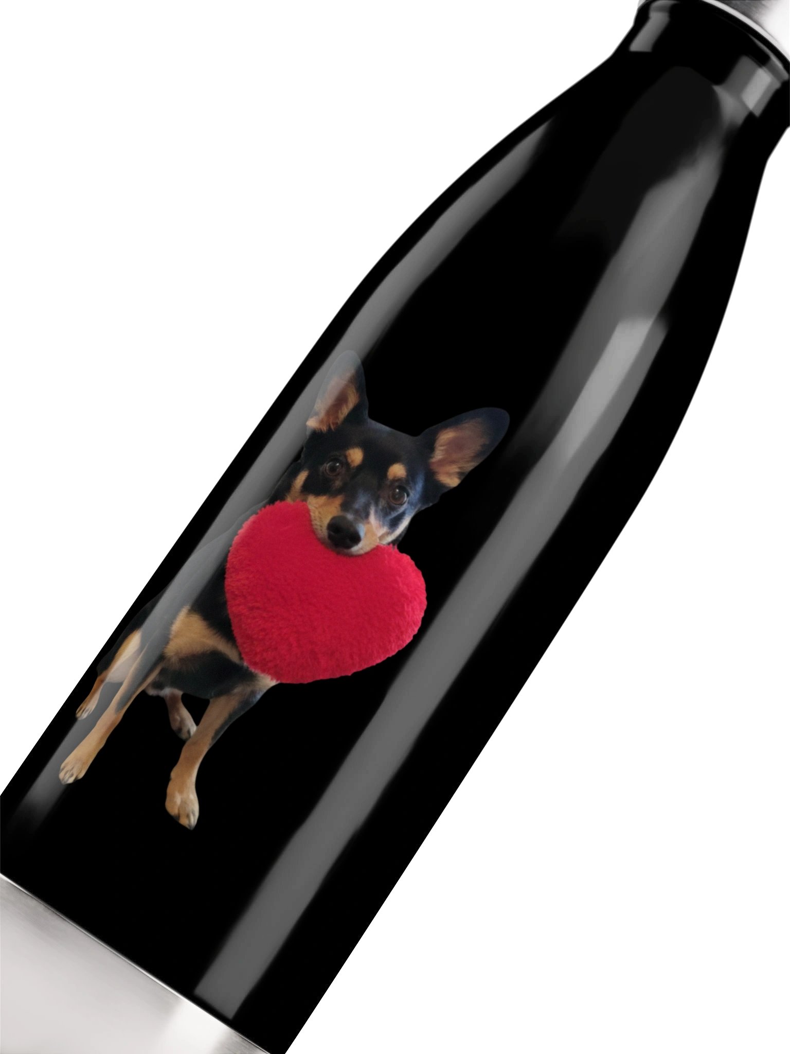 Titus Bottle product image (5)