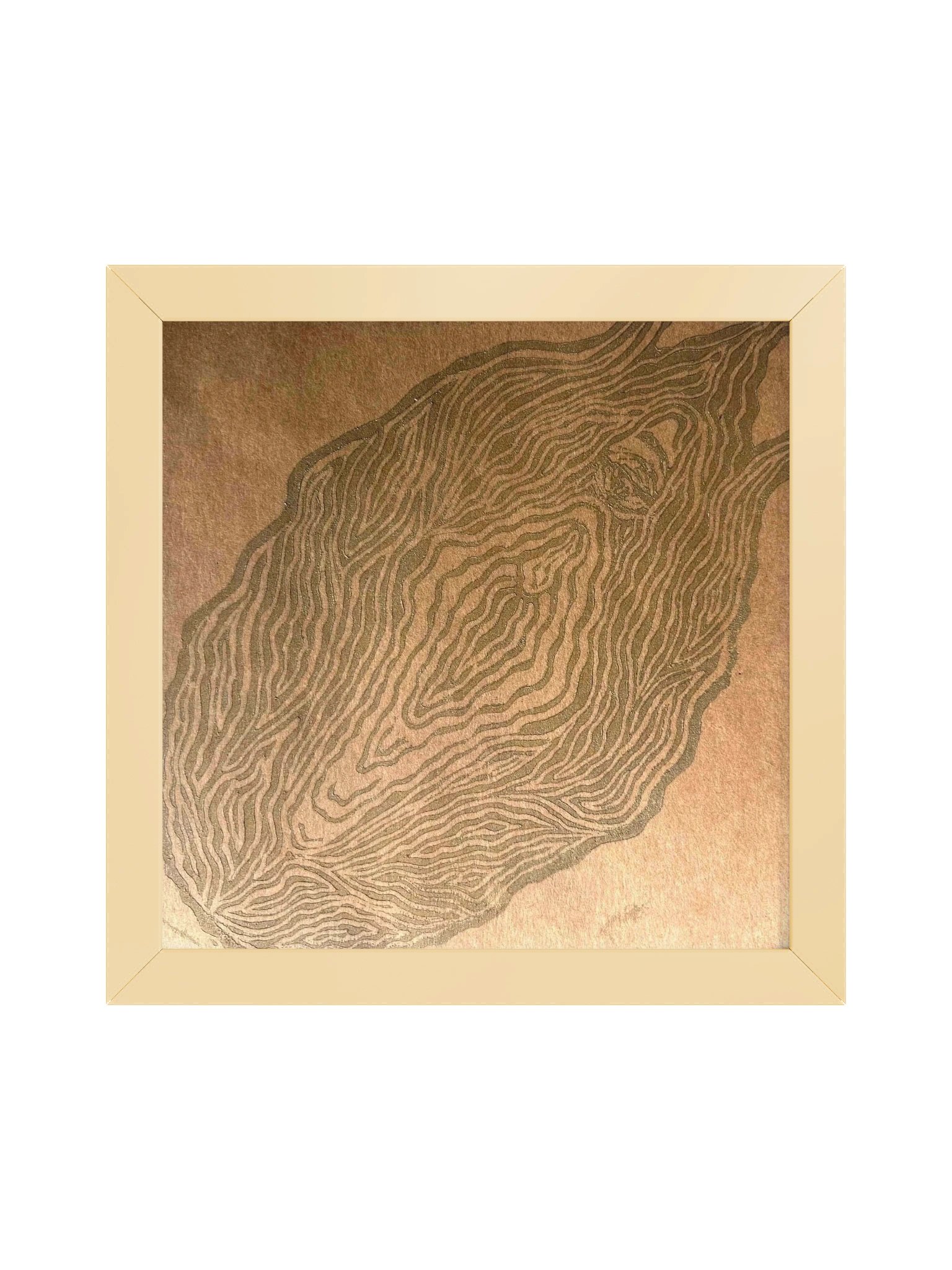Resguardar — Framed Poster product image (21)