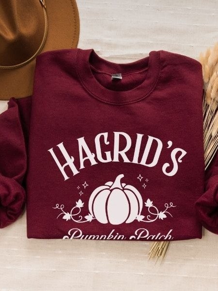 Magical Pumpkin Patch Minimalist Cozy Sweatshirt for Halloween product image (3)
