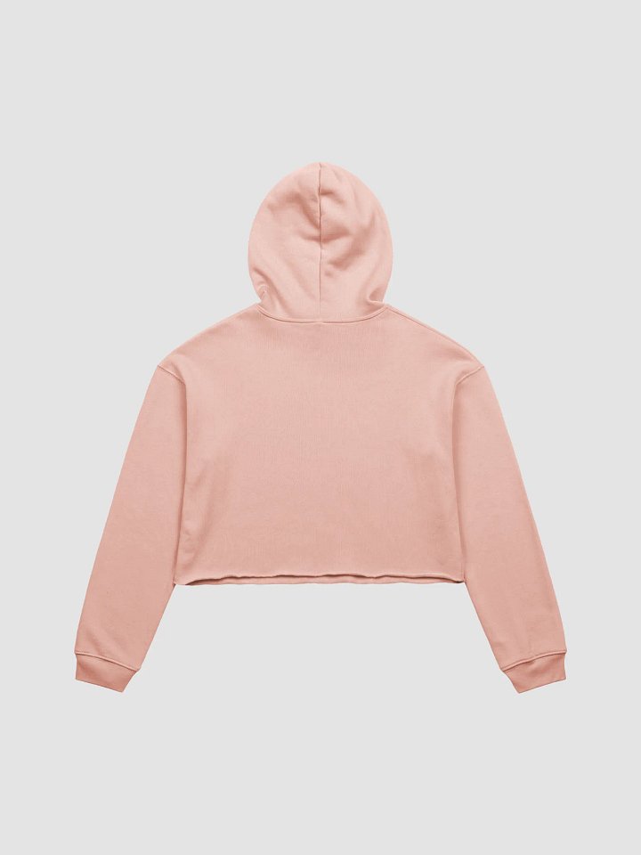 Embracing The Norm Crop Hoodie product image (2)