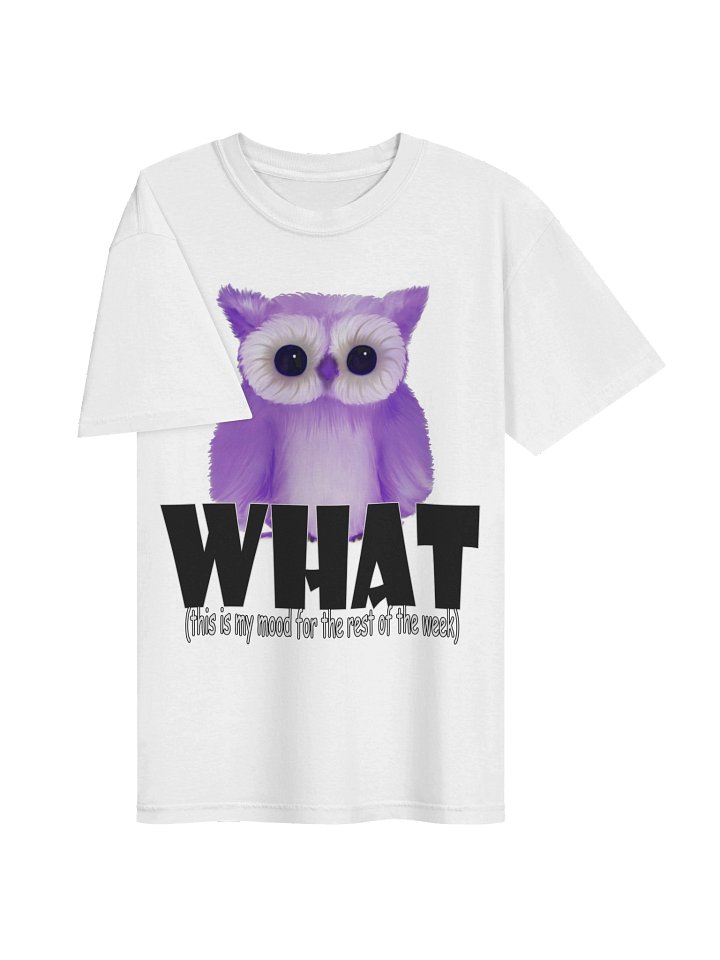 Owl "WHAT" T-Shirt. Men's Comfort Colors Garment-Dyed Heavyweight T-Shirt product image (2)
