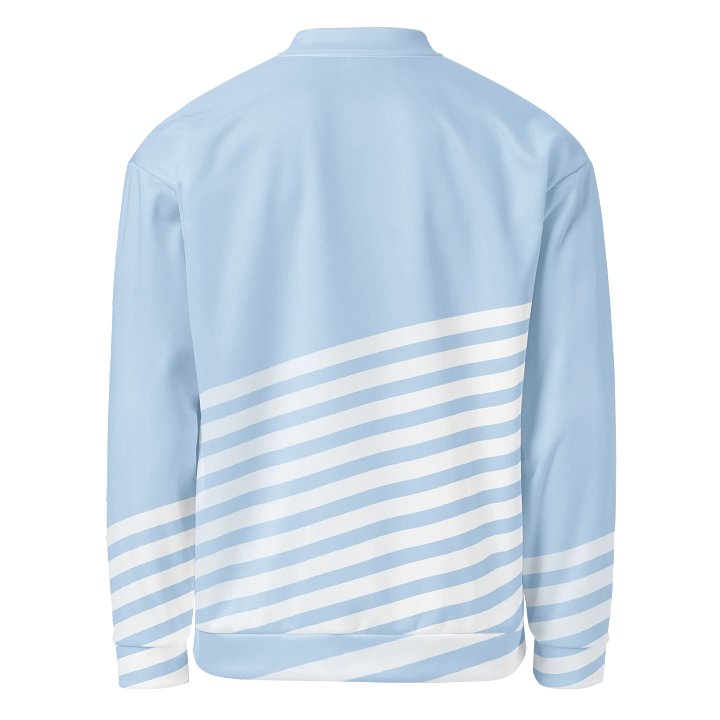 Bomber Jacket-Caffeinated Cat Companions product image (2)