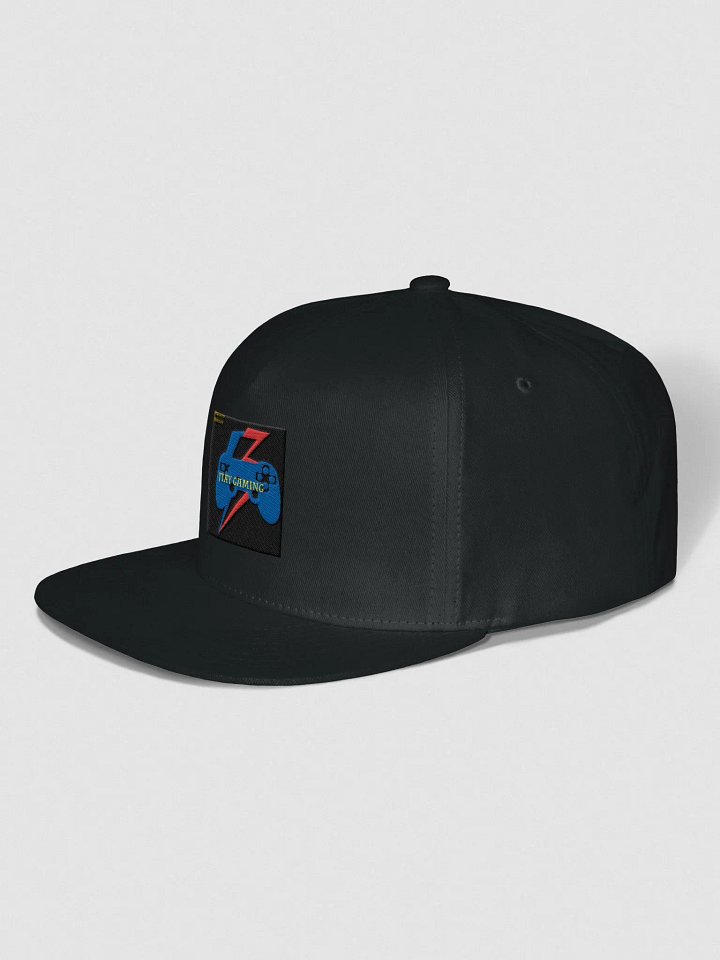 Channel Support Snapback product image (14)