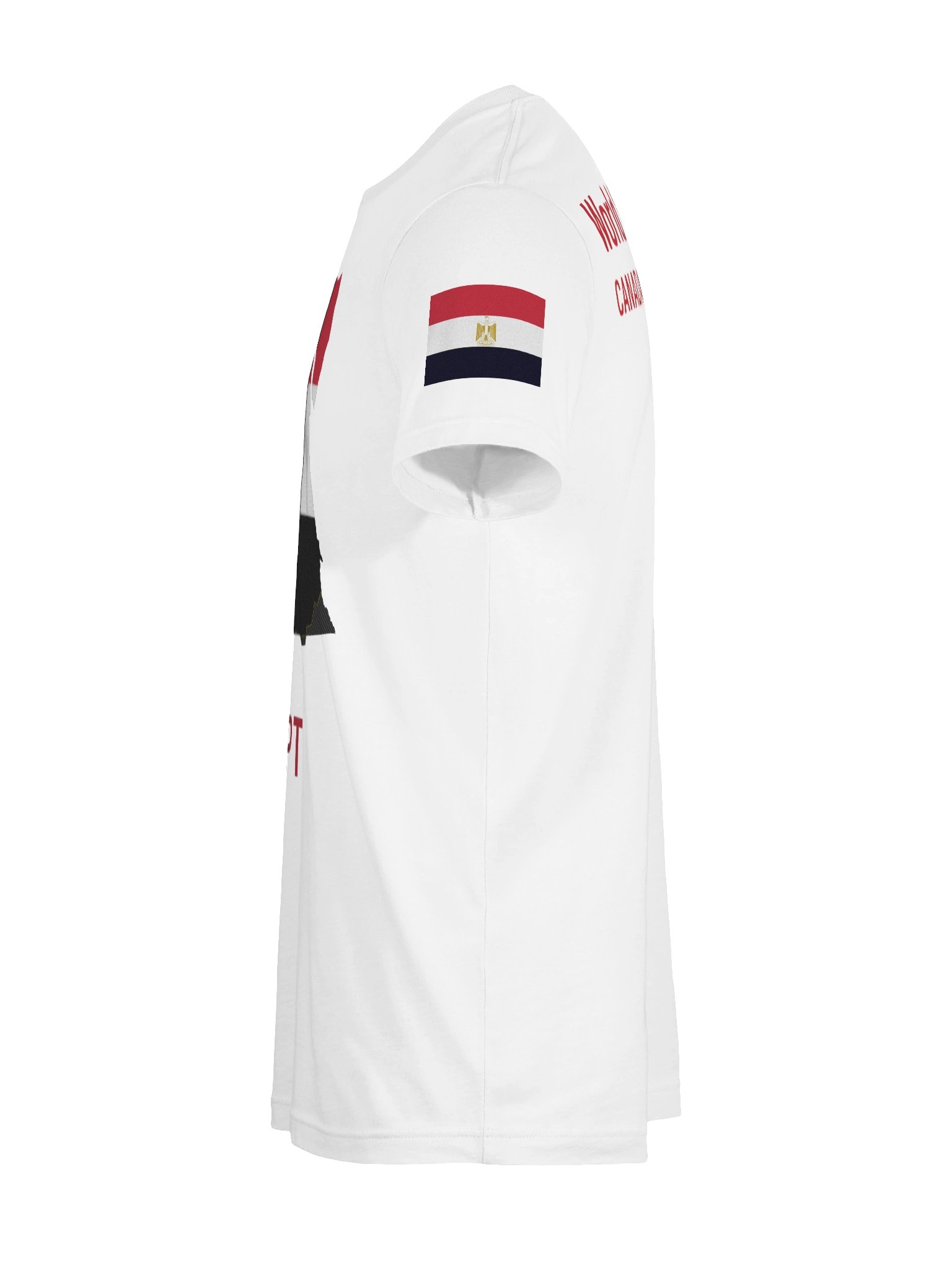Egypt 2026 World Cup Flag Tee - World Cup 2026 Edition - Premium Unisex T-Shirt product image (92)