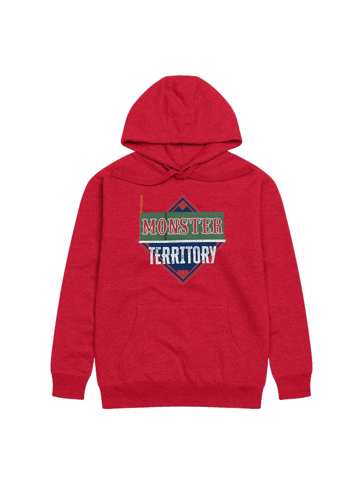 Hoodie product image (1)