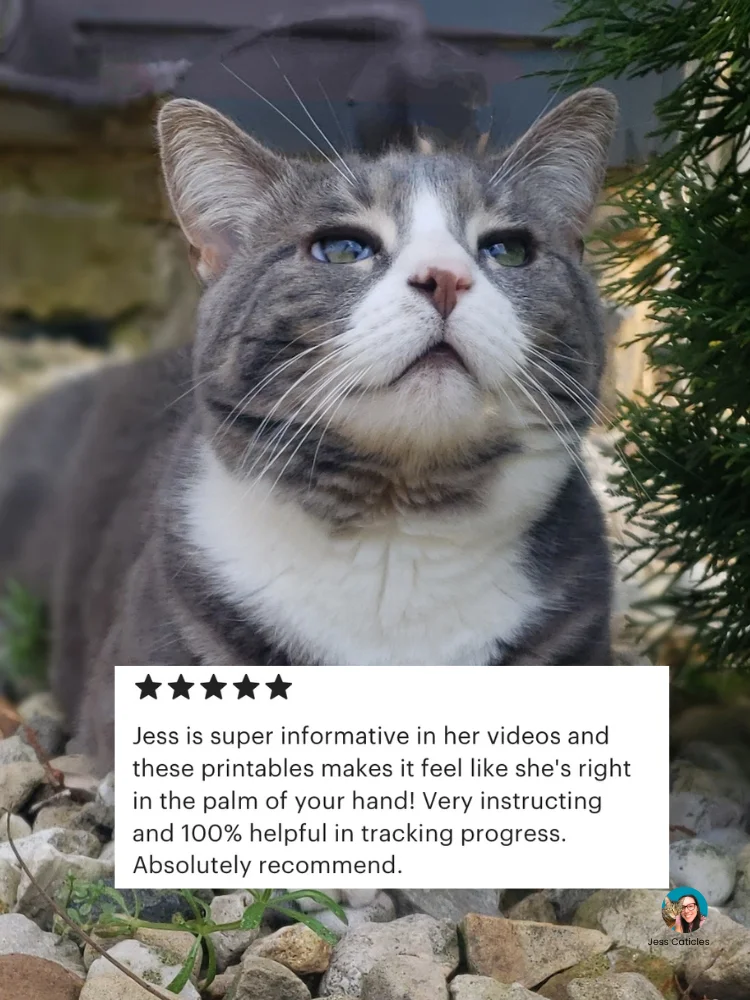 Raw Feeding Cats Printables Digital Download product image (6)