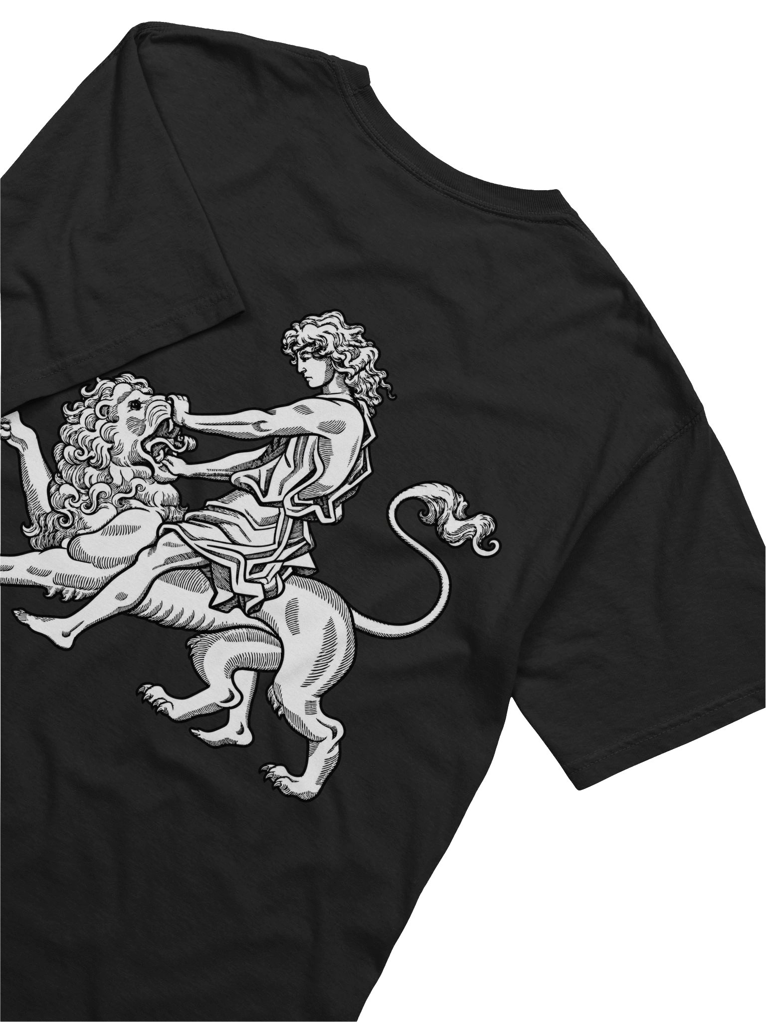 Samson and the Lion Heavyweight Tee product image (4)