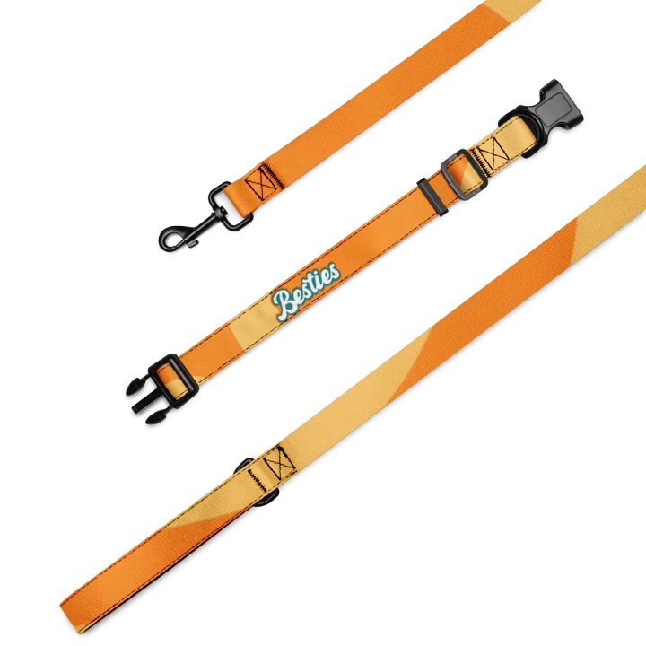 Besties Groovy Pet Collar & Leash Set product image (2)