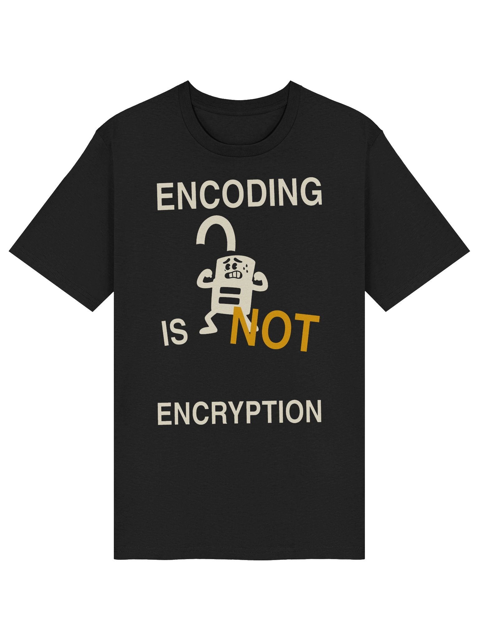 Encoding Is Not Encryption product image (2)