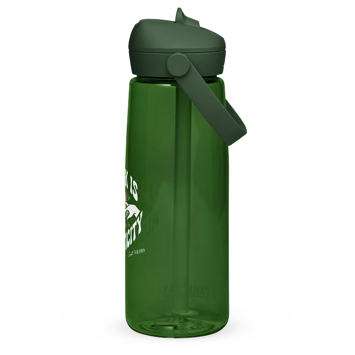 “My Kink Is Authenticity” Green Flip Straw Water Bottle product image (2)