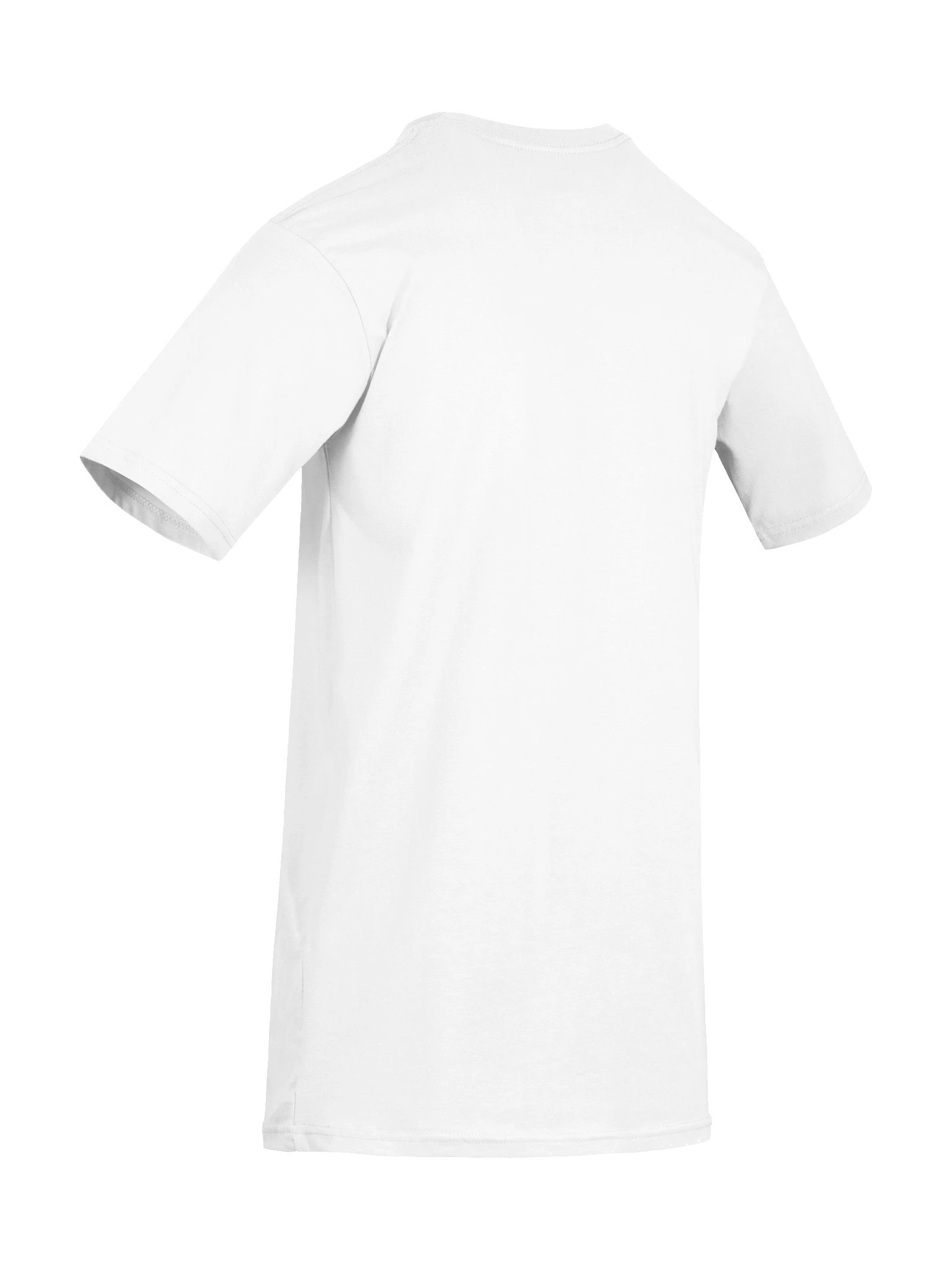 DMS Heavyweight Tee product image (36)