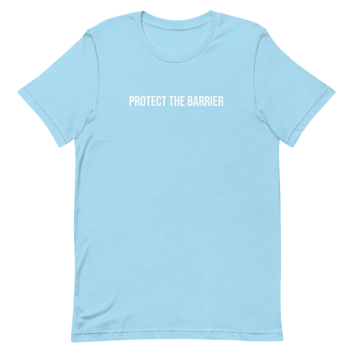 Protect the Barrier product image (20)