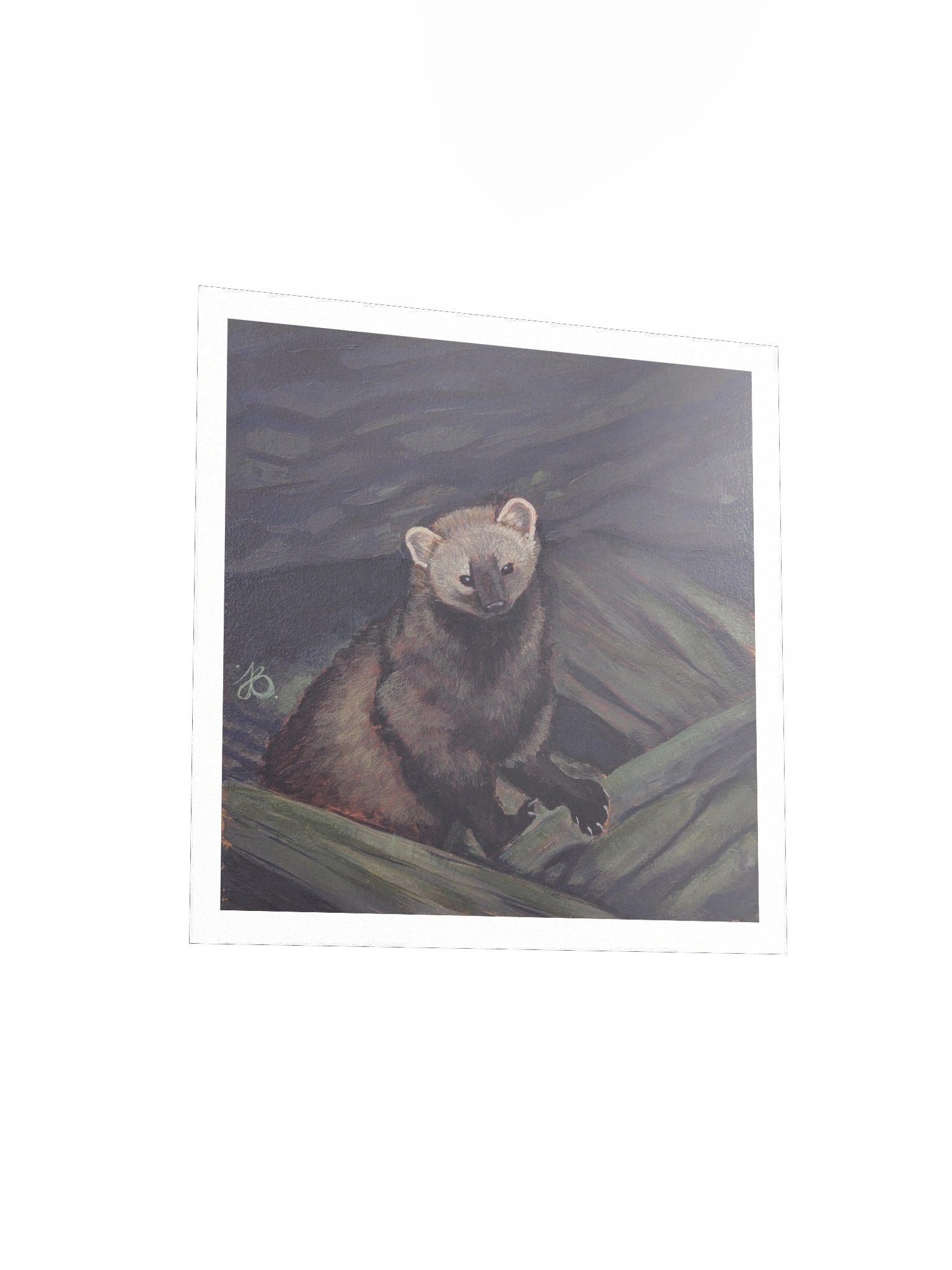 Shy Fisher Cat — Premium Matte Poster product image (6)