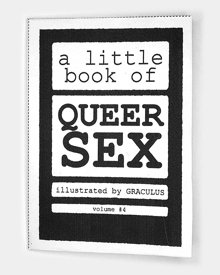 A Little Book of Queer S*x: Volume #4 product image (1)