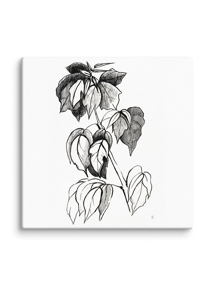Botanical Line Art Canvas Print - Stylish Graphical Twig product image (2)