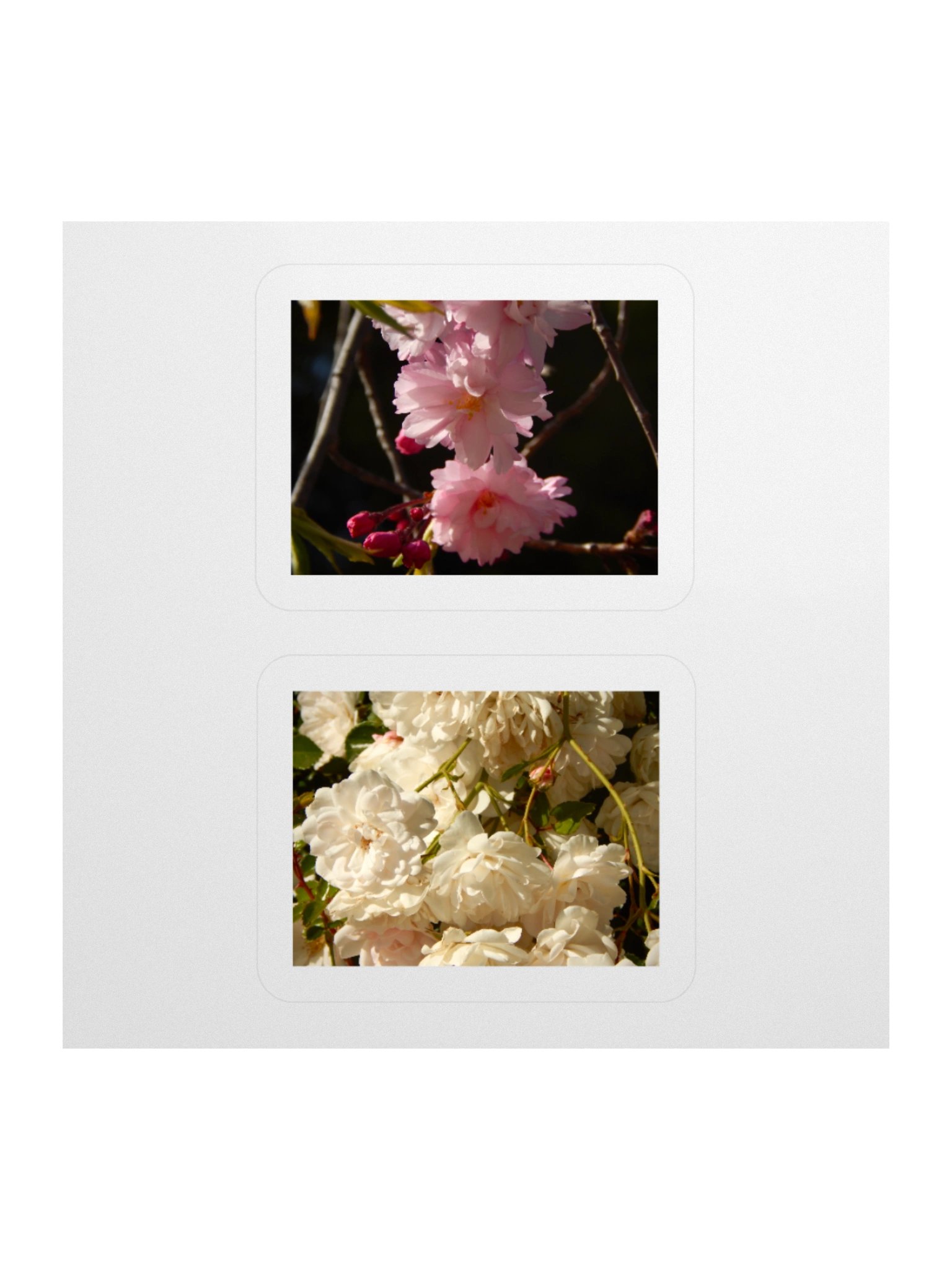 Flowers - Sticker Sheet product image (2)