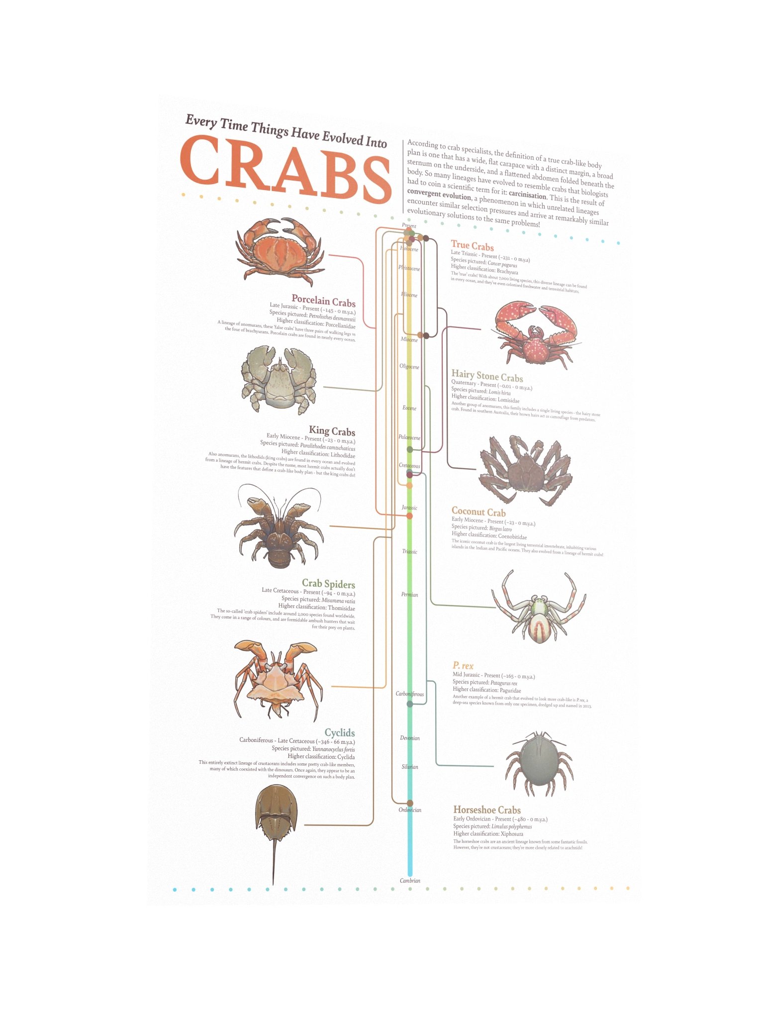 Crab Convergence Poster product image (2)