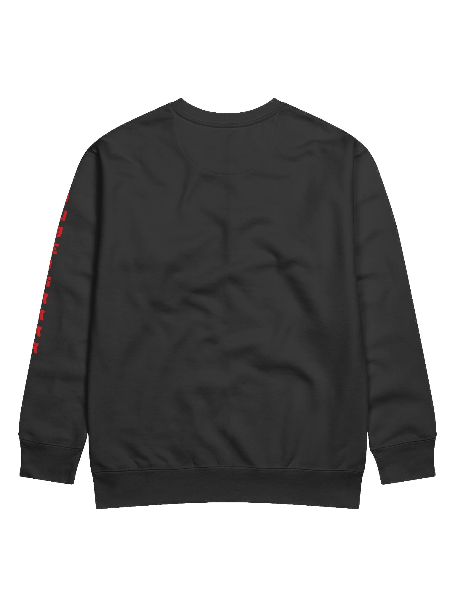WCYD Sweatshirt product image (4)