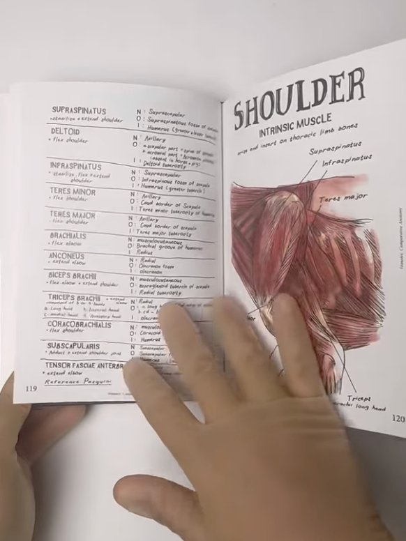Vet Notes: Comparative Anatomy product image (6)