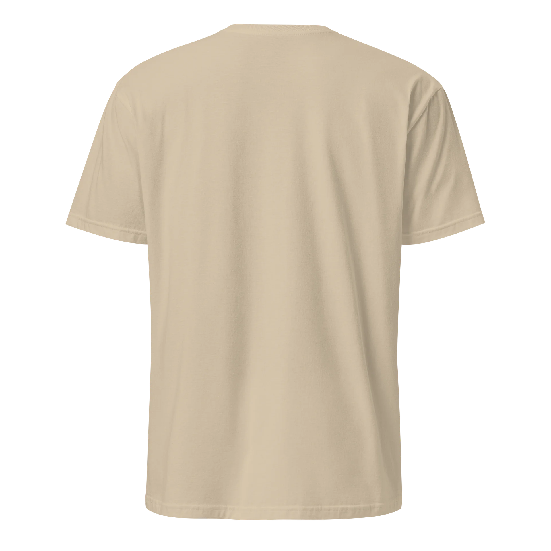 God Brought Me Through -Testimony Tee product image (2)