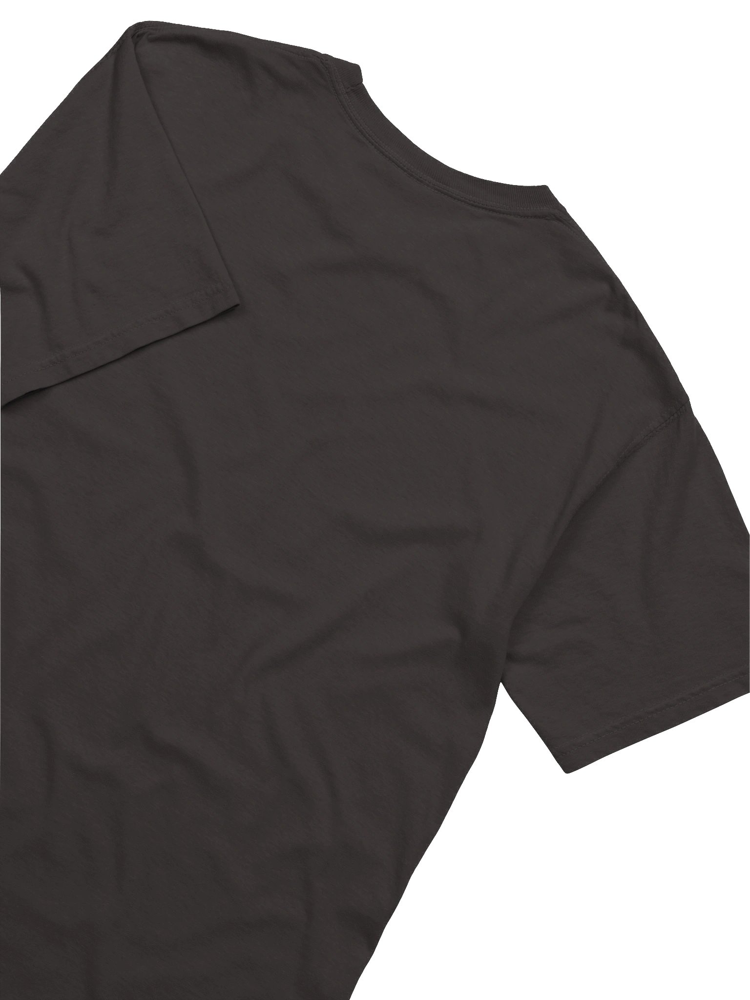 Since I Broke My Smart Home T-Shirt product image (16)