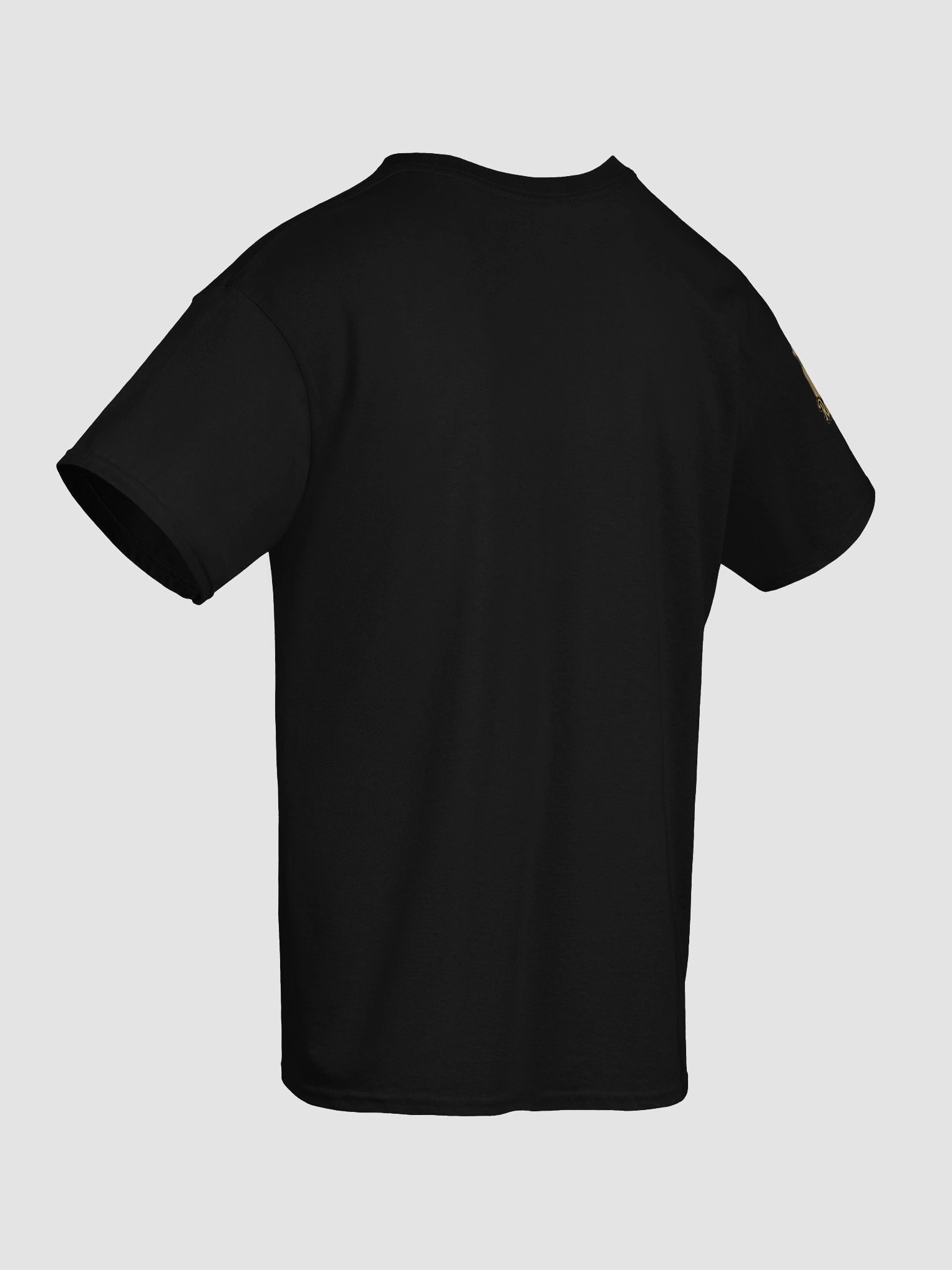 Raymond J - Still Got Joy Tee product image (113)