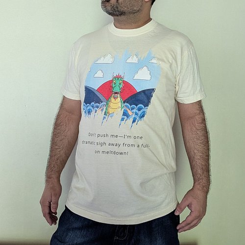 Beat the meltdown, be yourself, be confident! https://square-root-zero-shop.fourthwall.com/en-aud/products/meltdown-dragon-wa...