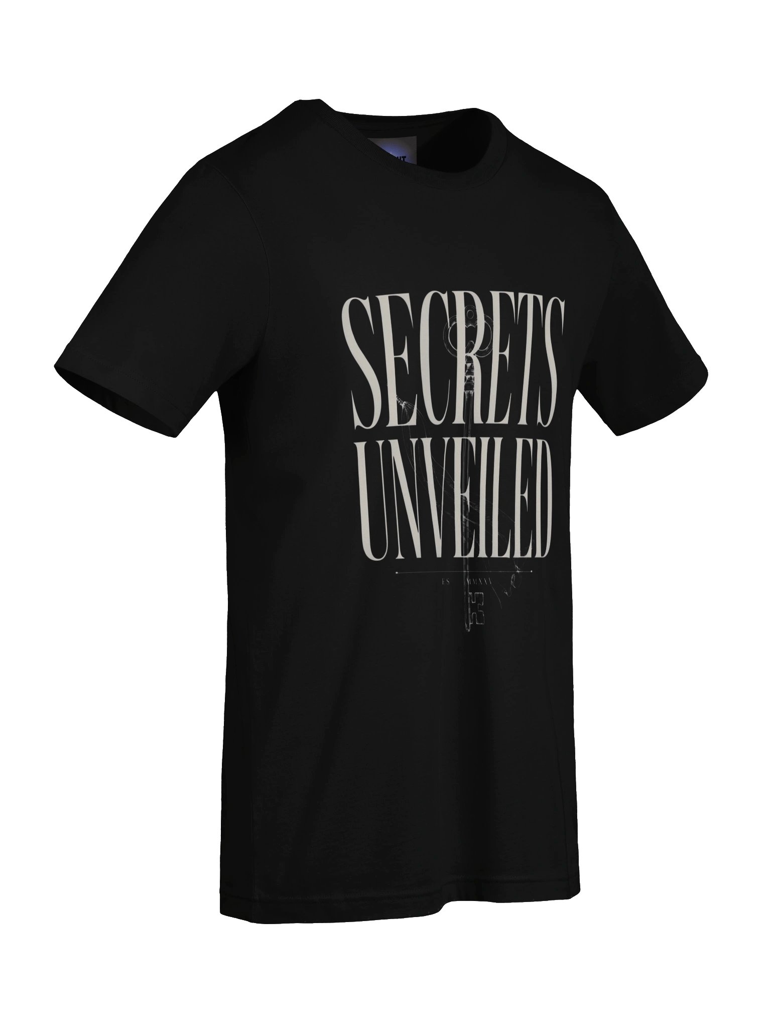 Midnight Veil Secrets Unveiled T-Shirt product image (73)