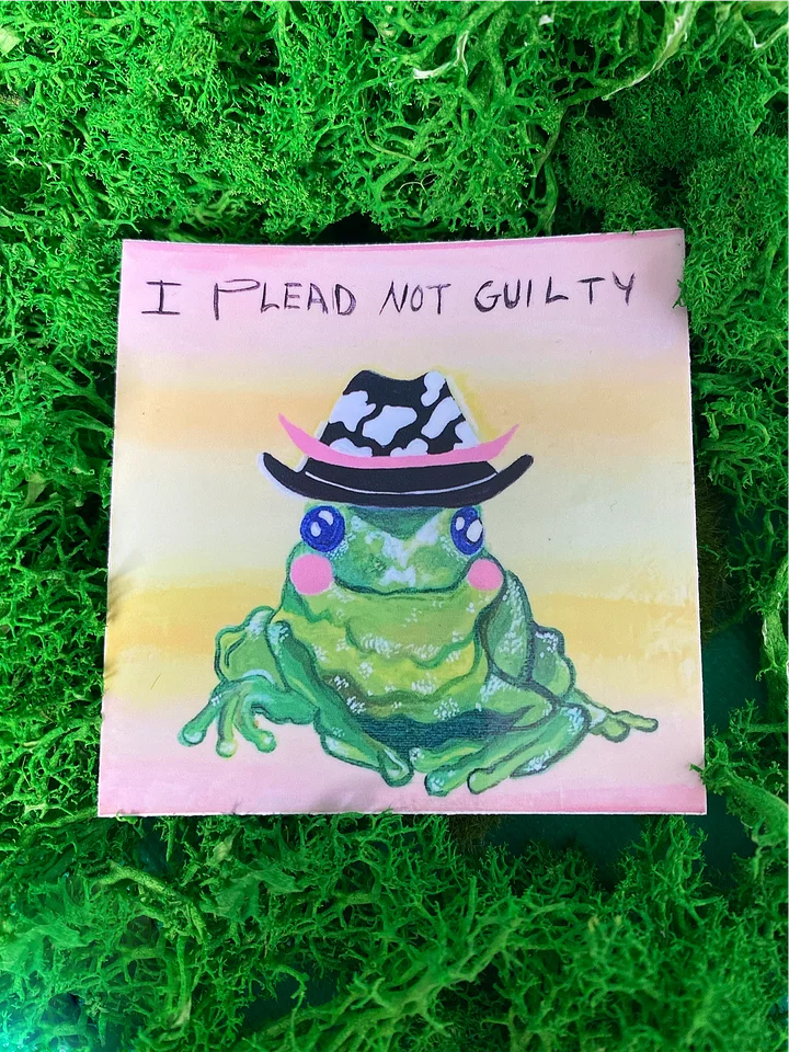 Not Guilty Frog product image (1)