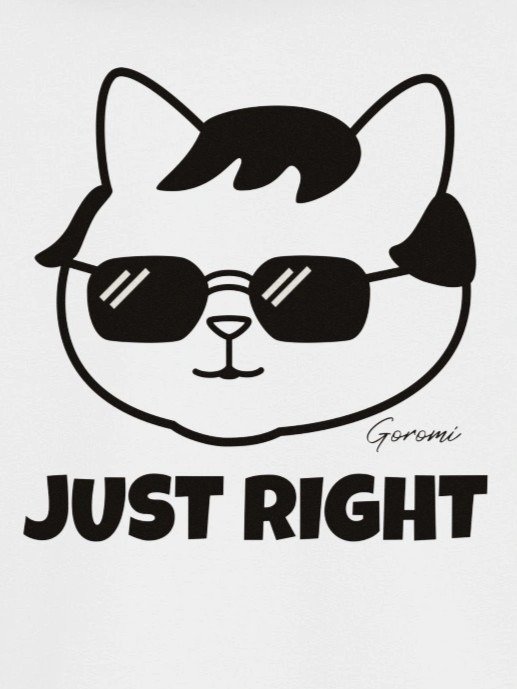 Goromi the Cat (JUST RIGHT) - Unisex Youth Heavyweight T-shirt product image (1)