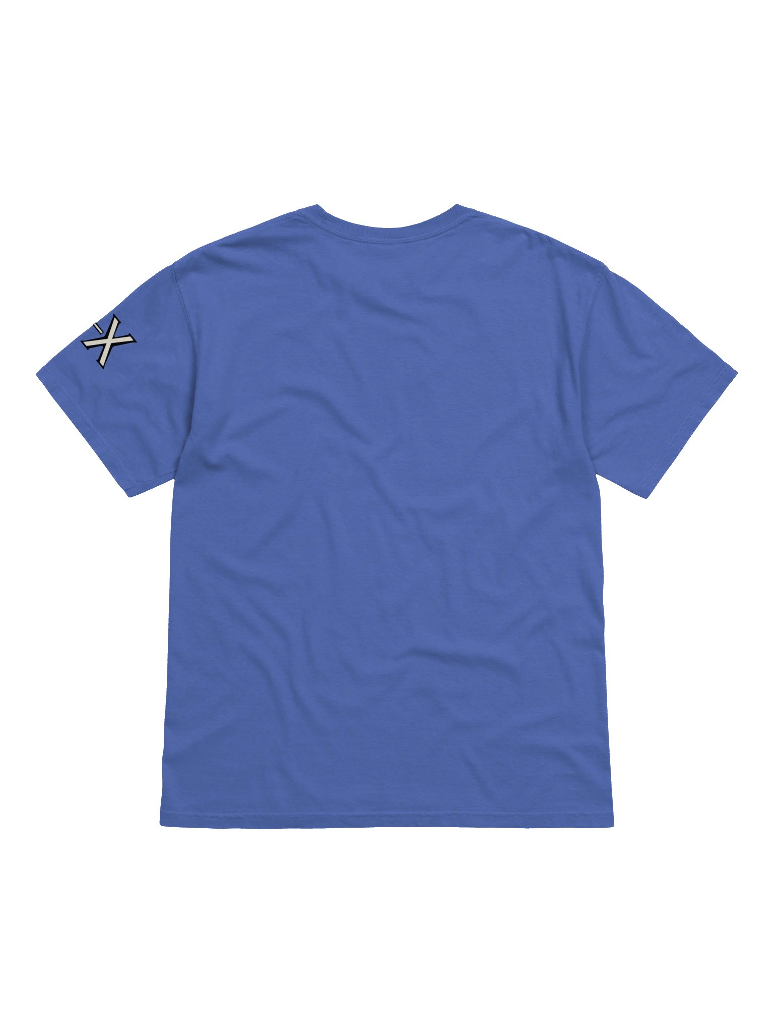 The Champion | Heavyweight T-Shirt | Originology | Black History X product image (7)