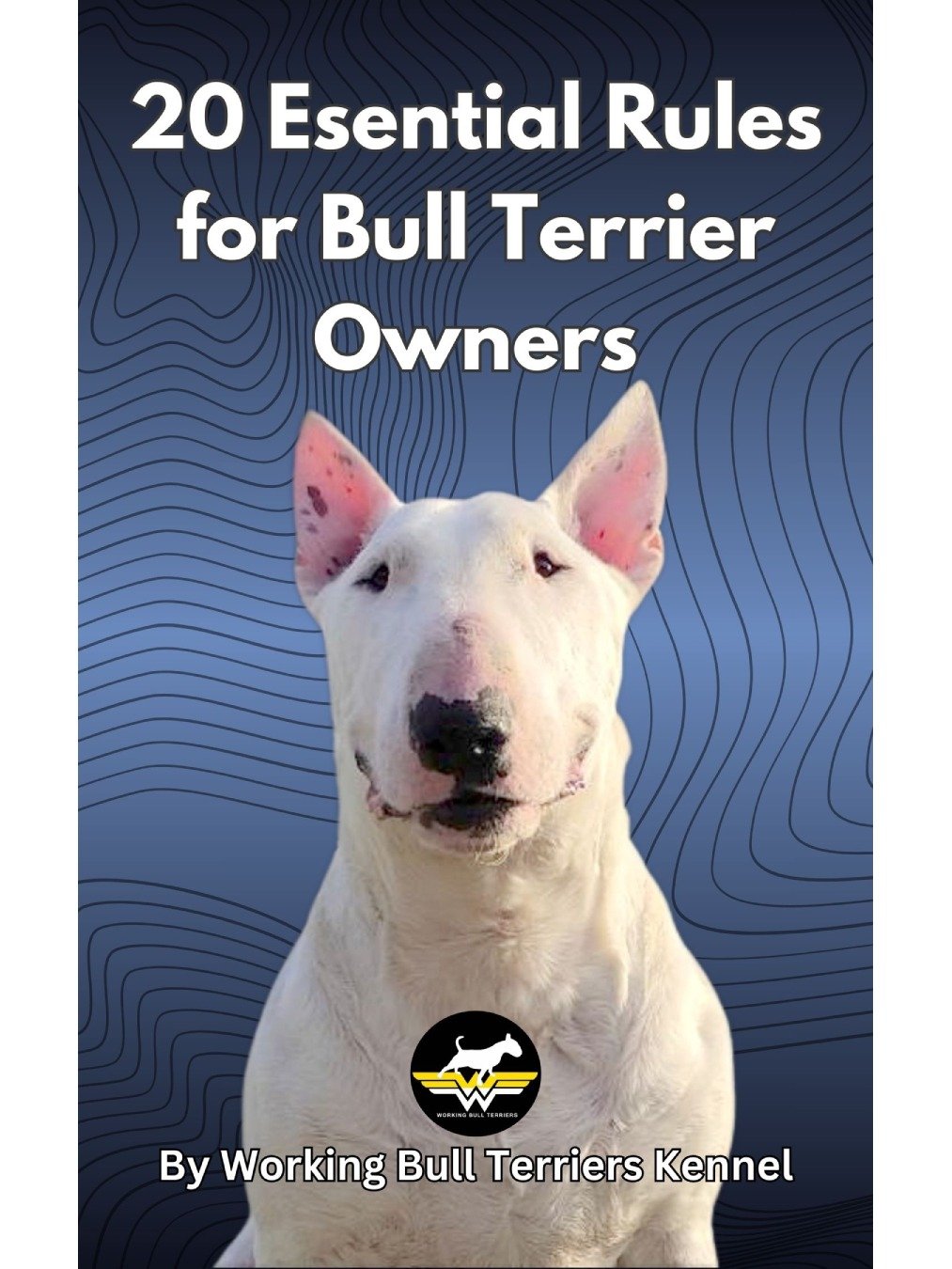 20 Essential Rules for Bull Terrier Owners product image (1)
