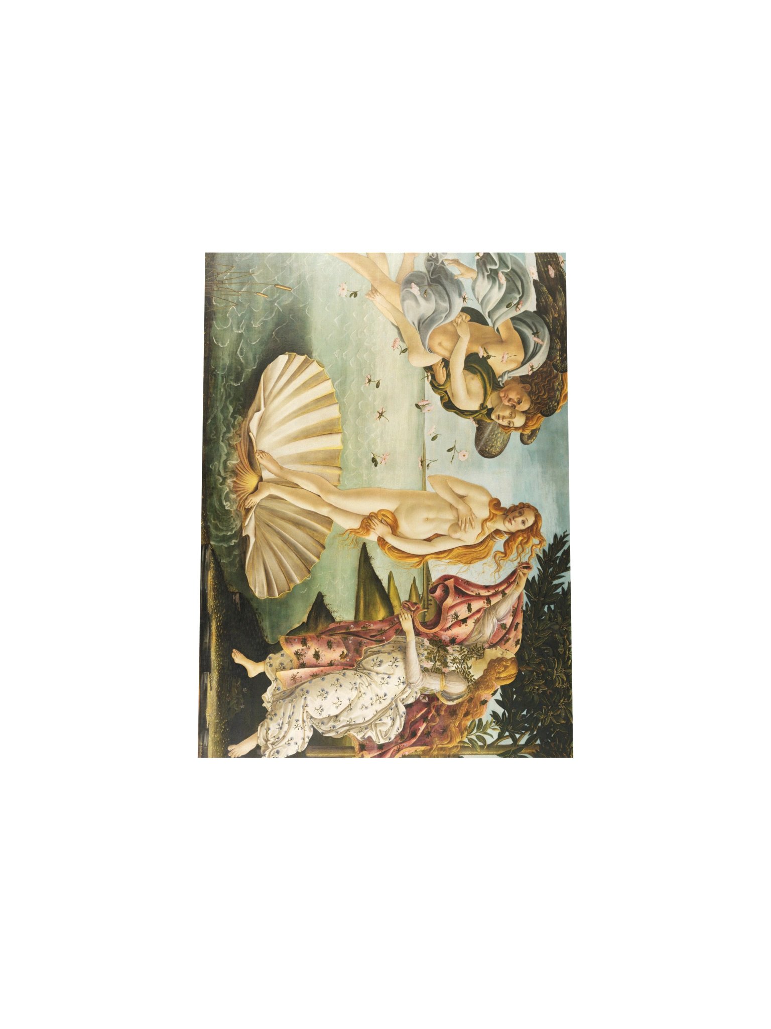 Botticelli, The Birth of Venus — Fine-Art Poster product image (5)