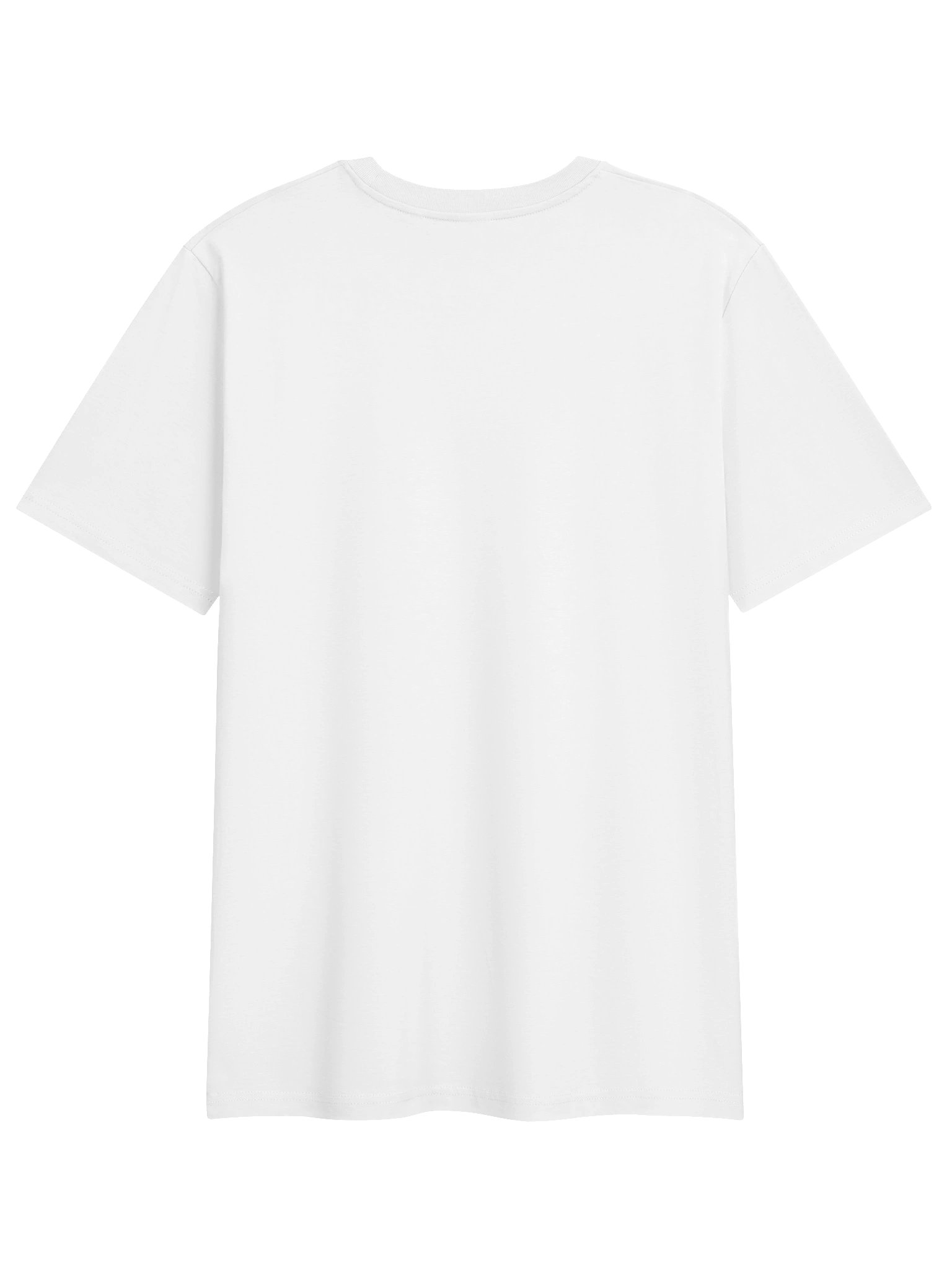 ECO-Friendly & Organic Premium Quality T-shirt with Trailsapiens logo (Midweight fabric (5.3 oz) product image (3)