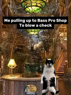 Bass Pro Shop #wickedoutdooradventures #fishcatching #fishing #fypシ #memes 