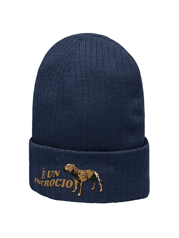 È un incrocio berretto product image (2)