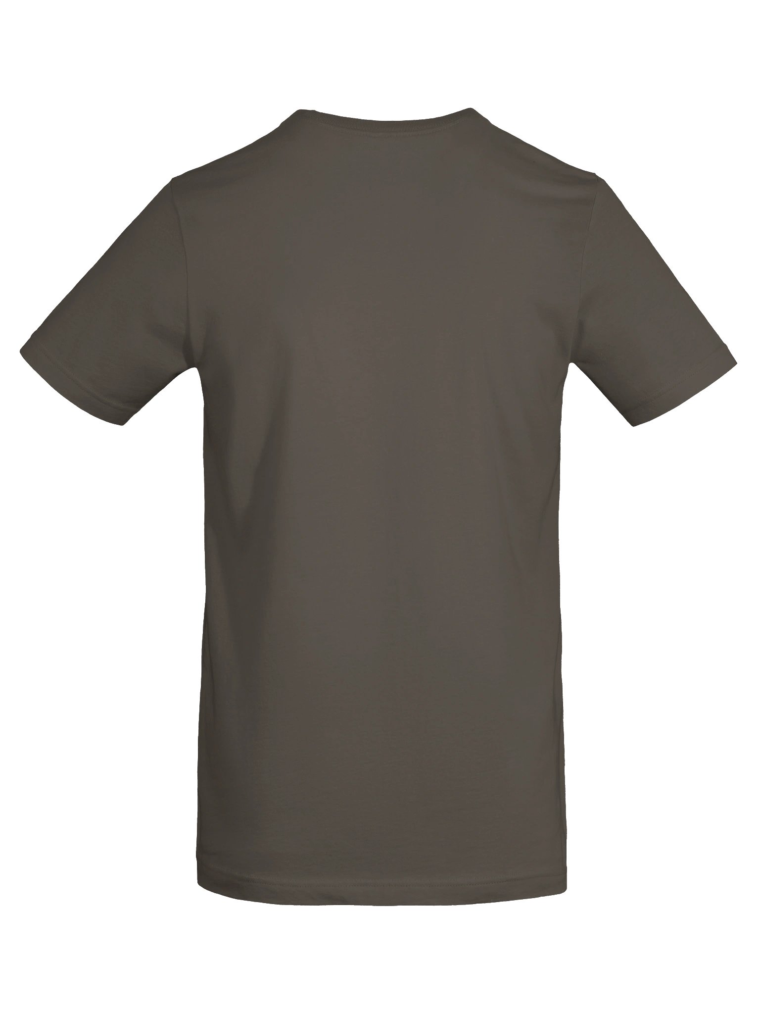 Fear Is Not My Master – Lion Tee product image (57)