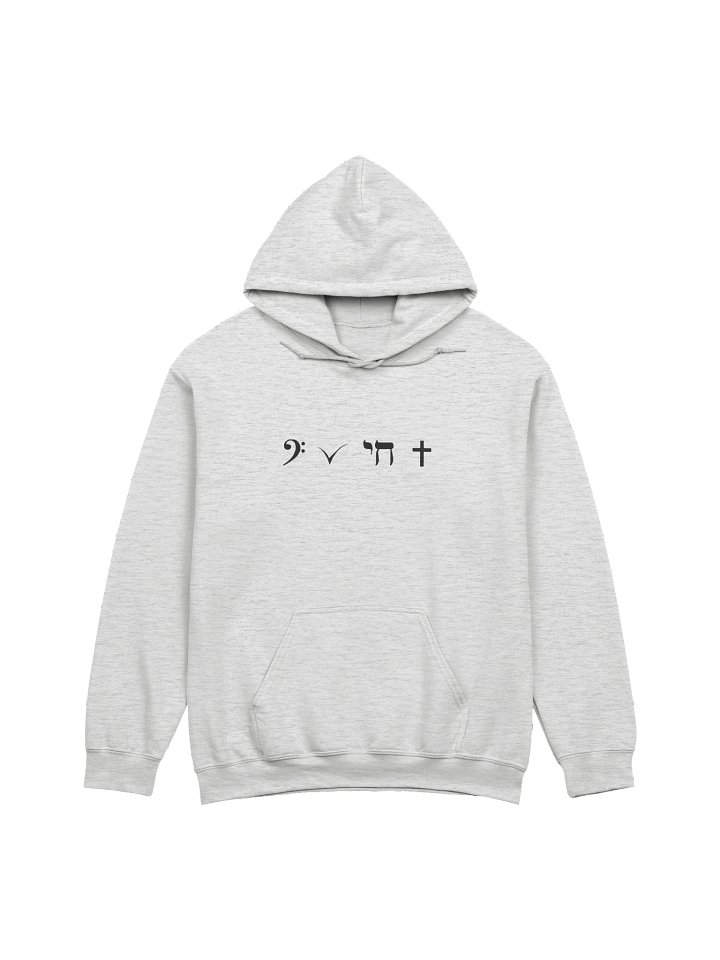VIRTUEZ HOODIE product image (1)