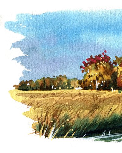 Echo de menos la luz del otoño.
#watercolors #acuarelas #tamsanserif #artwork #sketchbook #landscape #urbansketch
