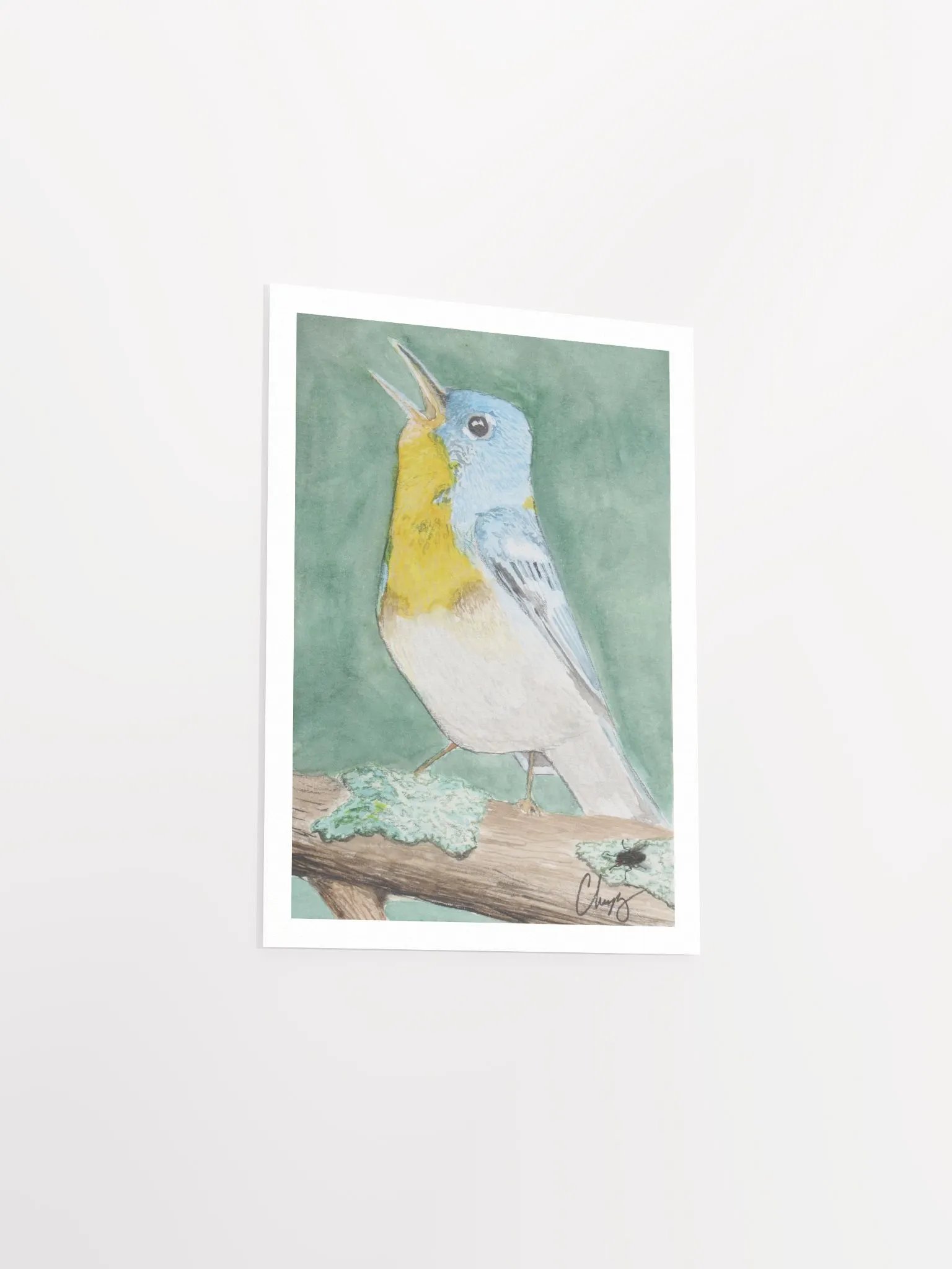 Northern Parula Warbler Print product image (3)