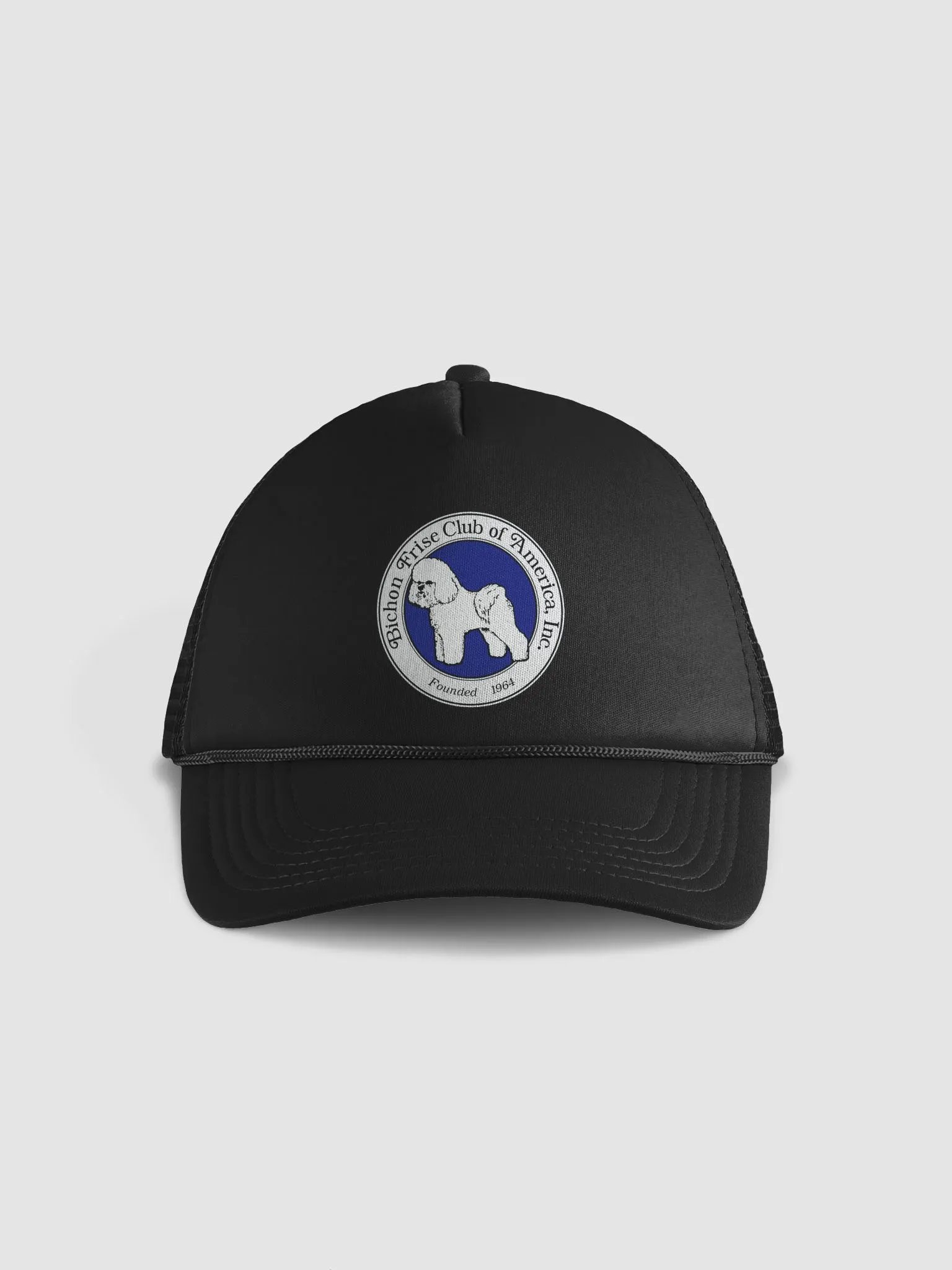 BFCA Ballcap product image (1)