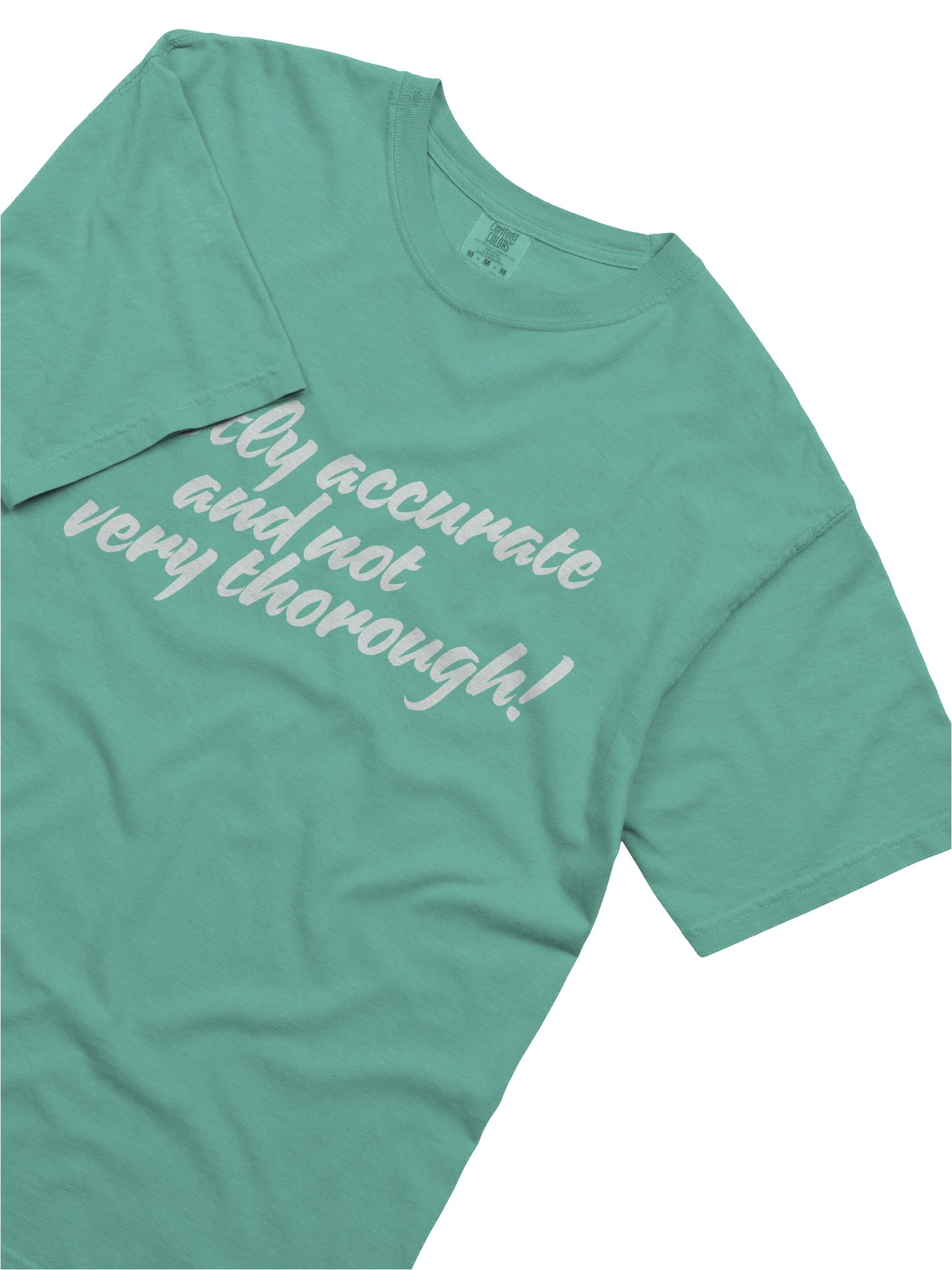 Mostly Accurate T Shirt 4 product image (43)