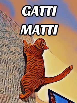 Gatti matti fanno e dicono cose assurde 😼 #doppiaggio #animali #roma #gatto #gatti 