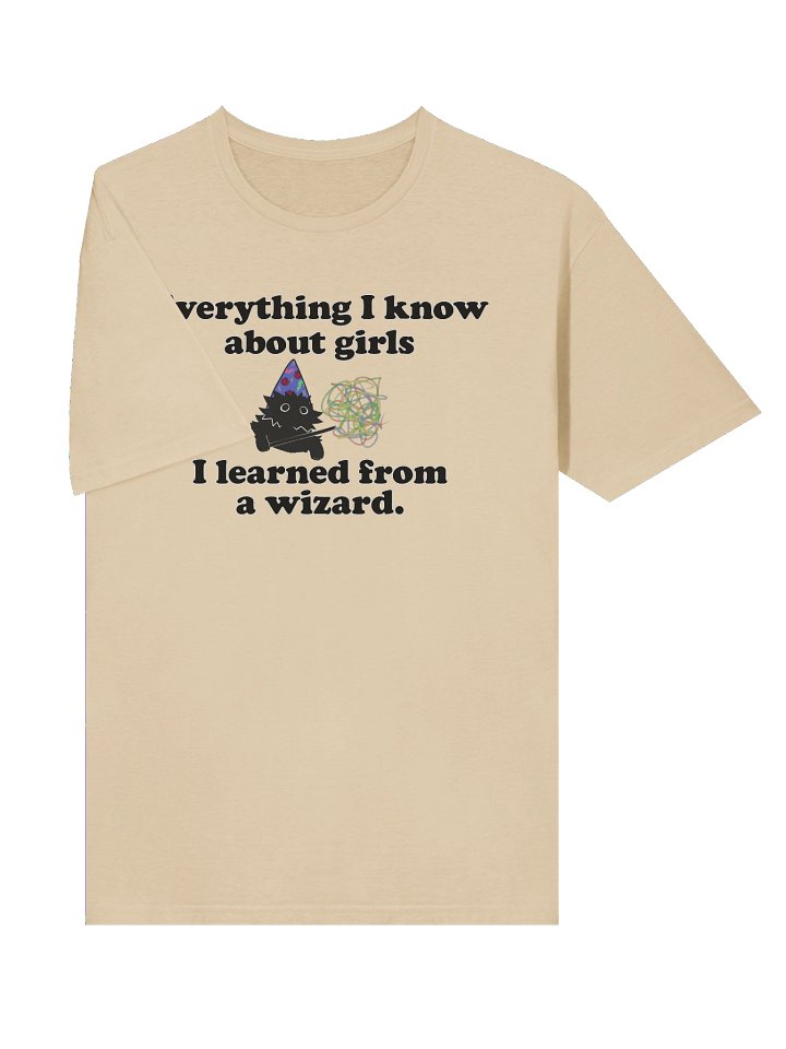 Everything I know about girls (wizard ed) discount tee product image (27)