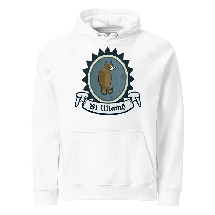 Béar Bí Ullamh SOL'S Eco Raglan Cochaill (Front Patch) product image (1)