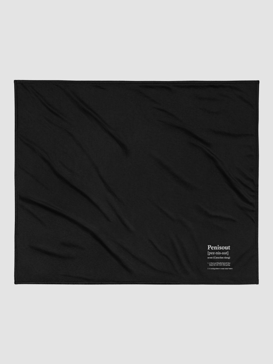 P****out ~Port Authority Embroidered Premium Sherpa Blanket product image (4)