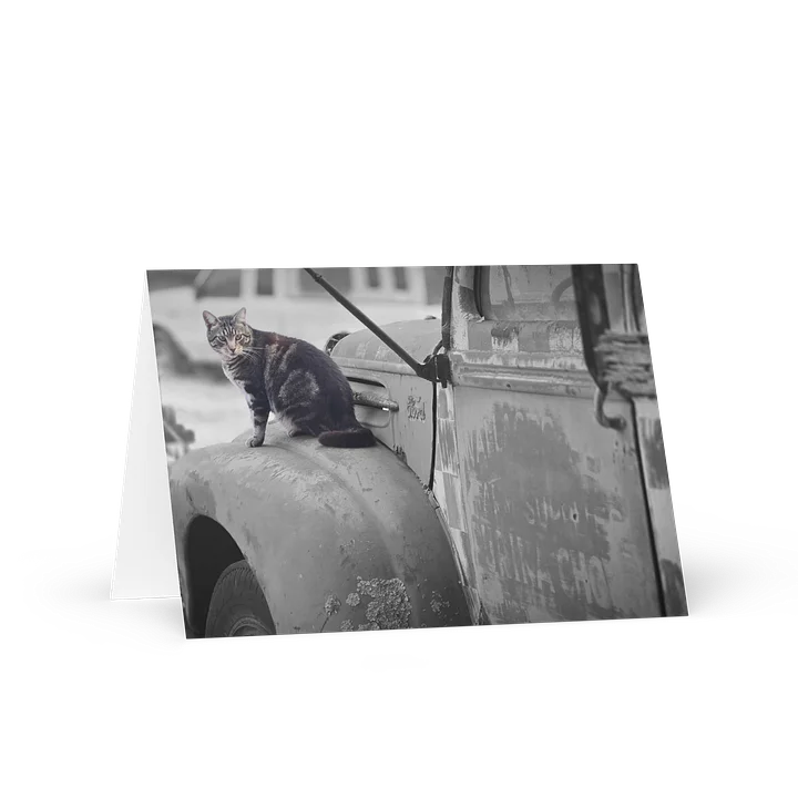 Pawsitively Purrsie Greeting Card product image (1)