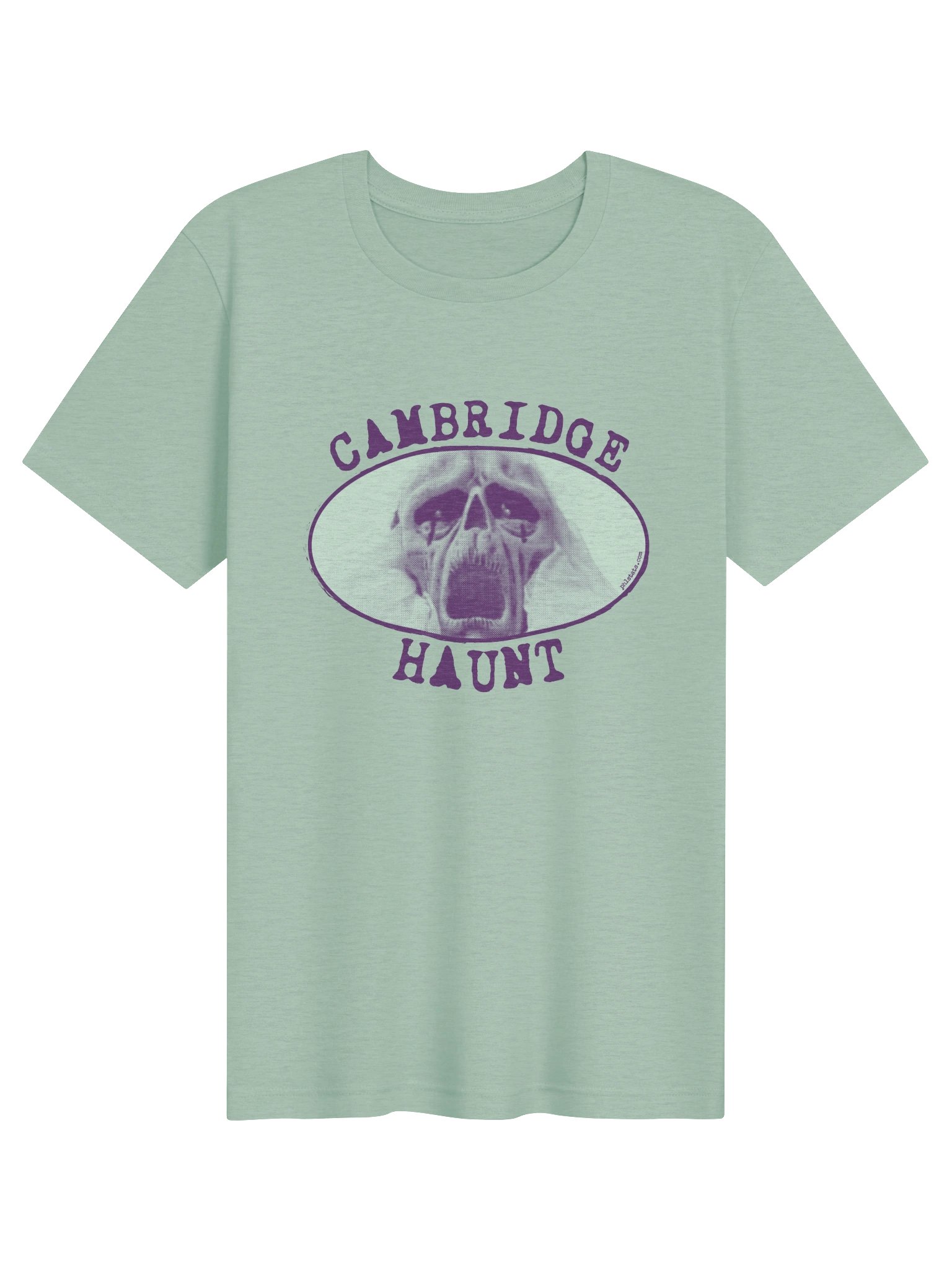 Haunt Tee product image (1)